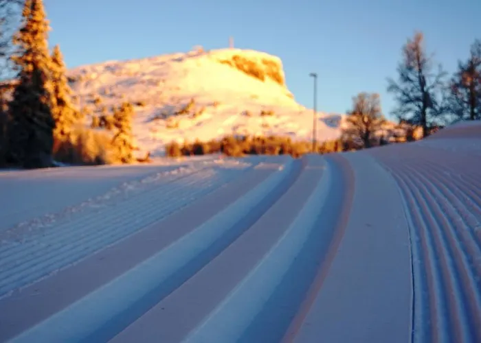 Hotel Thon Skeikampen Svingvoll