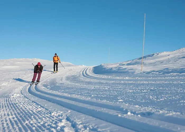 Thon Skeikampen 3* Svingvoll