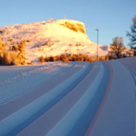 فندق Thon Skeikampen Svingvoll